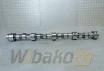 Wałek rozrządu M20 do silnika Liebherr D924 9882797 – używany