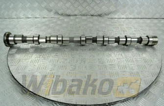 Wałek rozrządu do silnika Cummins QSB6.7 3979506