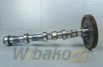 Wałek rozrządu do silnika Deutz TCD2012 L04 2V 04511876