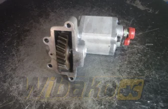 Silnik zębaty Sauer 83996272 01F22