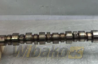 Wałek rozrządu Cummins QSM11 33202R3