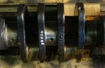 Wał korbowy Cummins 5.9 3945258
