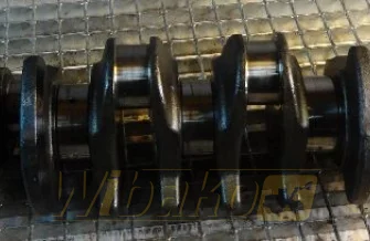 Wał korbowy do silnika Deutz BF6M1013 04202150RG